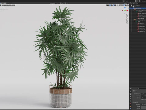 Plants collection 798 3D Model