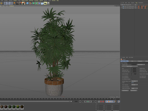 Plants collection 798 3D Model