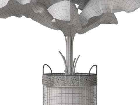 Plants collection 799 3D Model