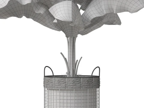 Plants collection 799 3D Model
