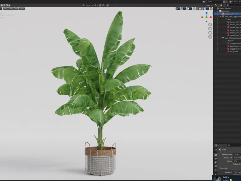 Plants collection 799 3D Model