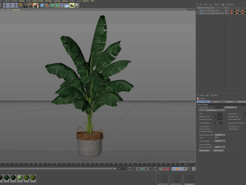 Plants collection 799 3D Model