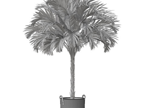 Plants collection 797 3D Model