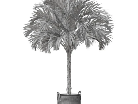 Plants collection 797 3D Model