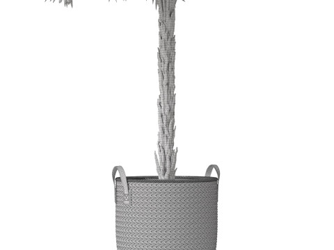 Plants collection 797 3D Model