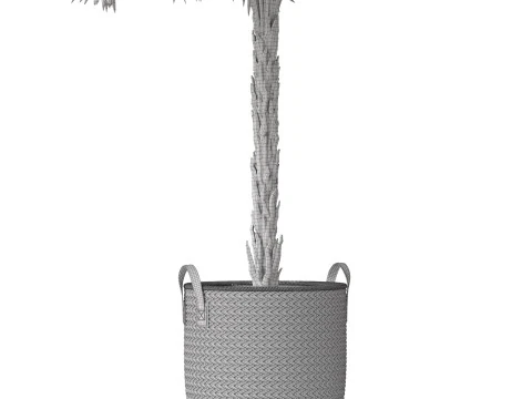 Plants collection 797 3D Model