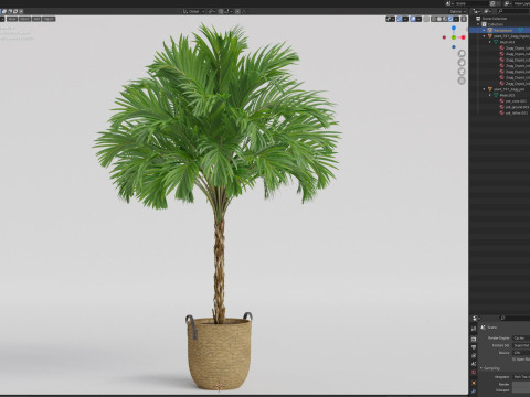 Plants collection 797 3D Model