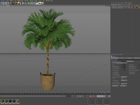 Plants collection 797 3D Model