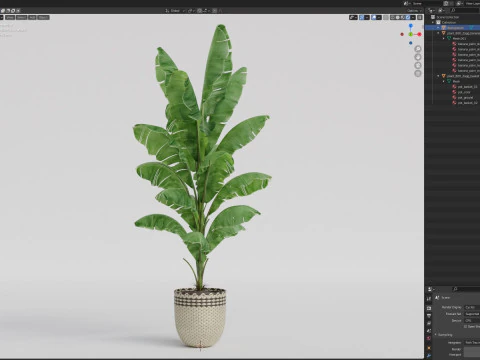 Plants collection 800 3D Model