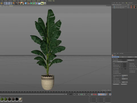 Plants collection 800 3D Model
