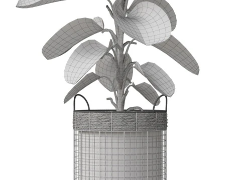 Plants collection 801 3D Model