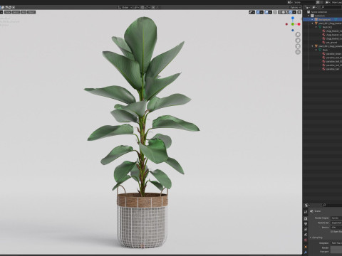 Plants collection 801 Model 3D