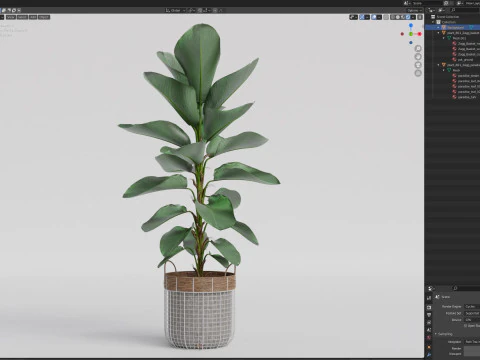 Plants collection 801 3D Model