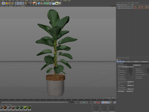 Plants collection 801 Model 3D