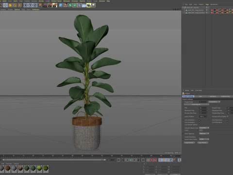 Plants collection 801 3D Model