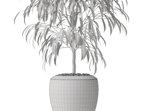 Plants collection 802 Modelo 3D