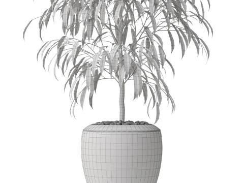 Plants collection 802 3D Model