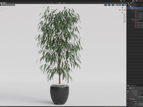 Plants collection 802 Modelo 3D