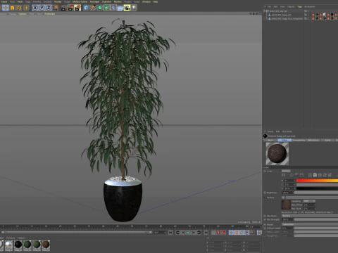 Plants collection 802 3D Model