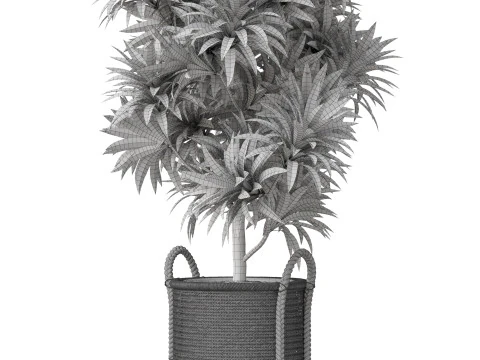 Plants collection 803 3D Model