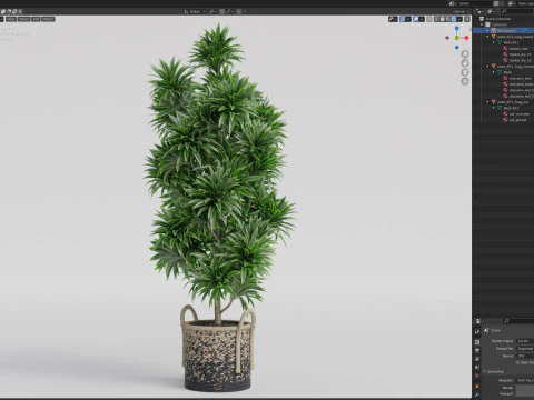 Plants collection 803 3D Model