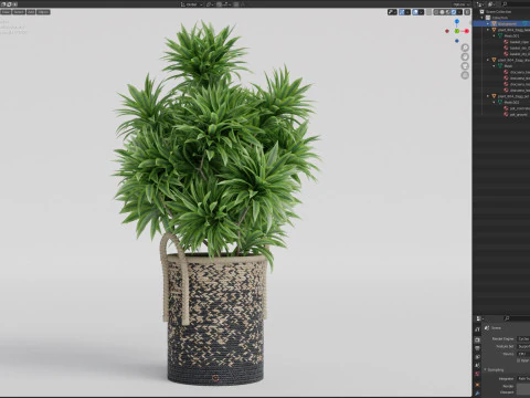 Plants collection 804 3D Model