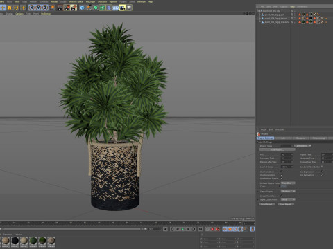 Plants collection 804 3D 模型