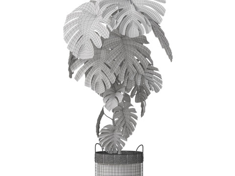 Plants collection 805 3D Модель