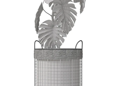 Plants collection 805 3D Model