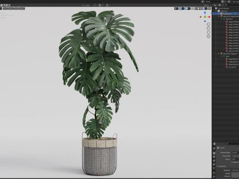 Plants collection 805 3D Model