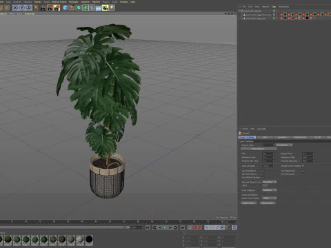 Plants collection 805 3D Model