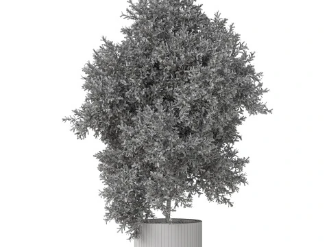 Plants collection 806 3D Model