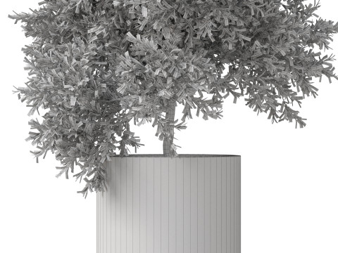 Plants collection 806 Model 3D