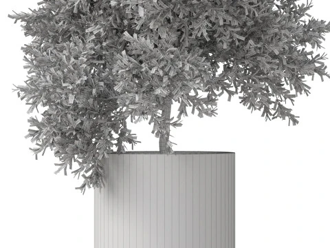 Plants collection 806 3D Model