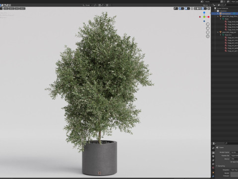 Plants collection 806 Model 3D
