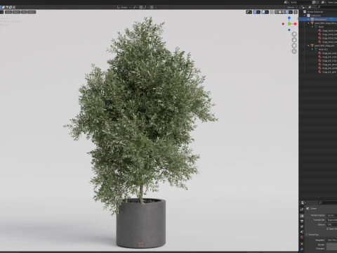 Plants collection 806 3D Model