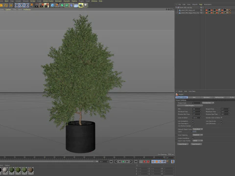 Plants collection 806 3D Model