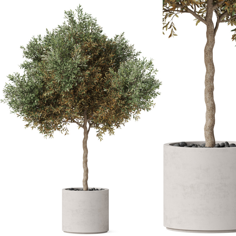 Plants collection 808 3D Модель .c4d .max .obj .3ds .fbx .stl .blend