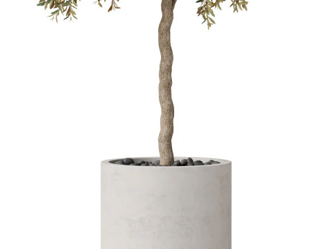 Plants collection 808 3D Model