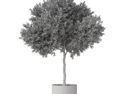 Plants collection 808 3D Model