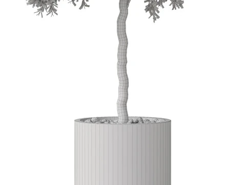 Plants collection 808 3D Model