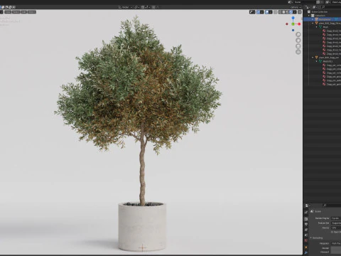 Plants collection 808 3D Model