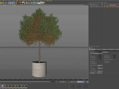 Plants collection 808 3D Model