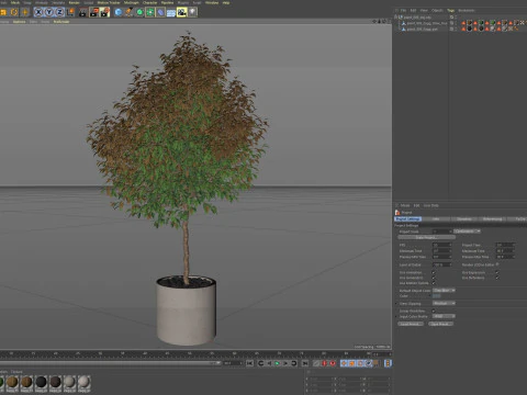 Plants collection 809 3D Model