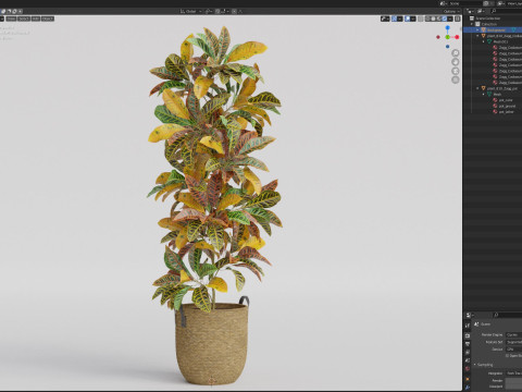Plants collection 810 3D Model