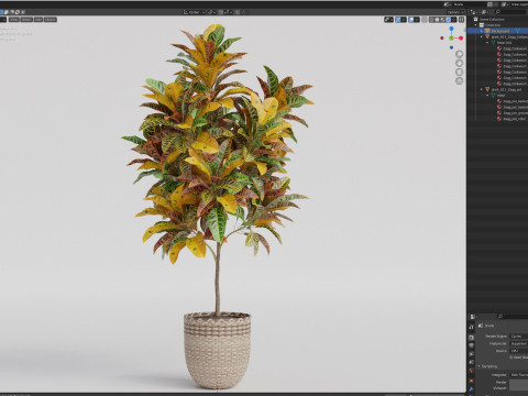 Plants collection 811 3D Model