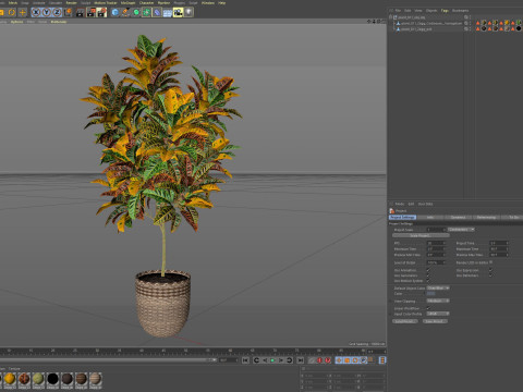 Plants collection 811 3D Model
