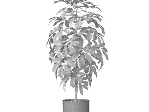 Plants collection 812 3D Model