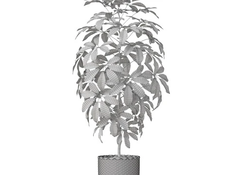 Plants collection 812 3D Model