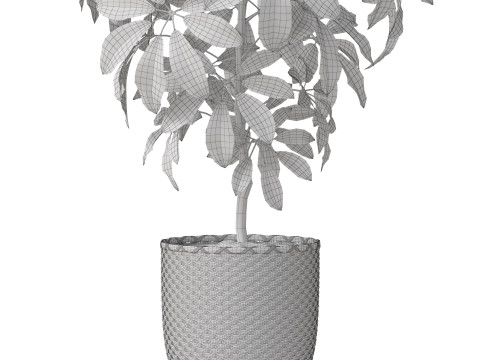 Plants collection 812 3D Model